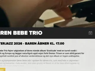 En enkelt billet til Søren Bebe Trio