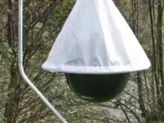 Hestebremsefanger