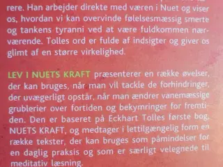 lev i nuets kraft - meditationer og øvelser, af ec