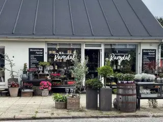 Attraktivt butikslokale på Tørrings hovedgade