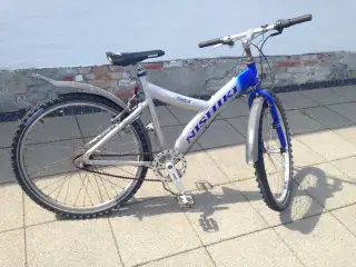 Nishiki Timbuk Mountainbike