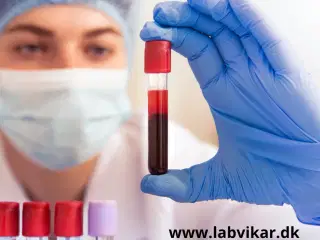 Kursus i blodprøvetagning