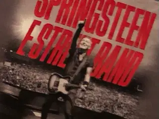 Bruce Springsteen, Koncert Hannover