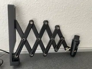 Sortlakeret Saxelampe