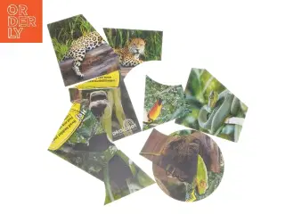 Billeder med dyremotiver