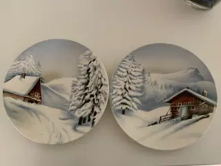 Platter/ fade