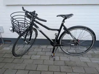 Centurion basic 20,5 “