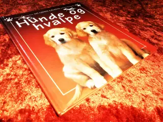 Hunde og hvalpe, Katherine Starke