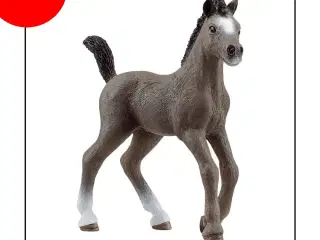 Schleich 13957 Selle Francais Foal (2023)