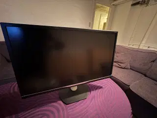 Stor pc Philips skærm