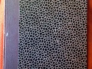 H. C. Bering Liisberg: Aarhundredets store Forspil