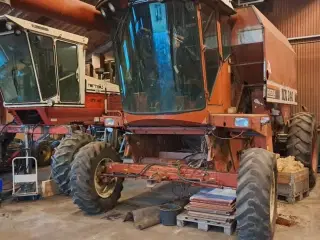 Fiatagri MX 240 Laverna