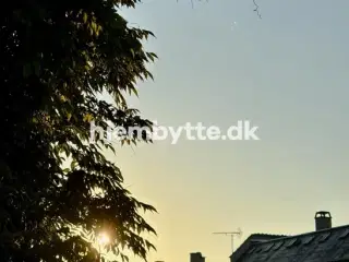 Hjembytte - Guldbergsgade