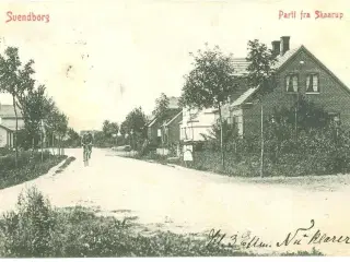 Skaarup, Parti fra, 1909