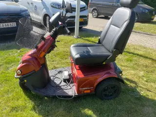 El Scooter 