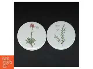 Flora Danica tallerkener (str. 2 styk. ø. 15,5 cm)