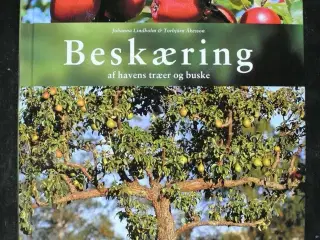 beskæring af havens træer og buske, af johanna lin