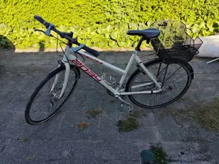 Von Backhaus cykel
