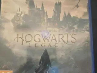 Hogwarts legacy ps5