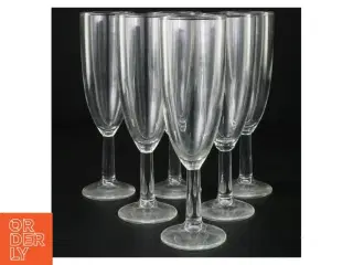 Champagneglas (str. 18 cm)