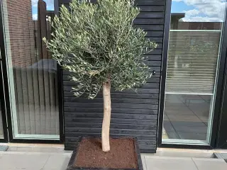 Højbede på mål 