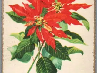 Illa - Stender Eneret - Serie 956 - Postkort - Brugt