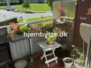 Hjembytte - Maglekær