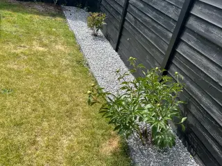Gratis Granitskærver, selvhenter