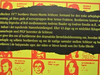 bortførelsen og henrettelsen af hans-martin schley