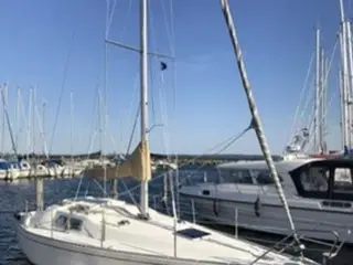 Scampi 30 sejlbåd