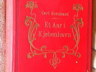 Carl Bernhard: Et Aar i Kjøbenhavn