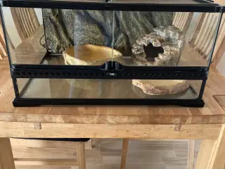 terrarium 60x45x30