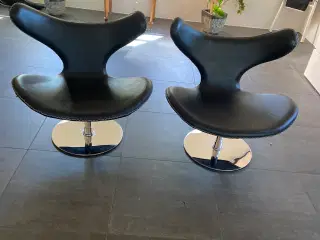 Dolphia Lounge stole