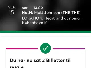 Billet Matt Johnson the the