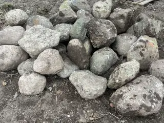 Kampesten til stensætning el.lignede 