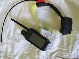 Garmin GPS til hund
