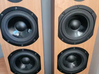 Surround højttaler 