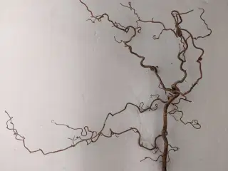 Troldegren