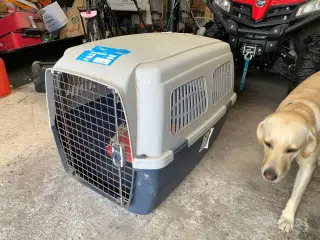 Hunde transport bur til fly kan hentes