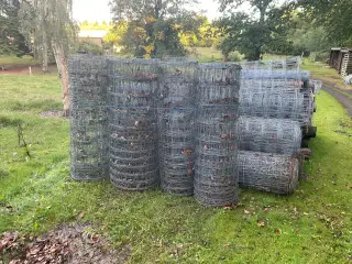 Vildthegn og 1/2” jernrør 