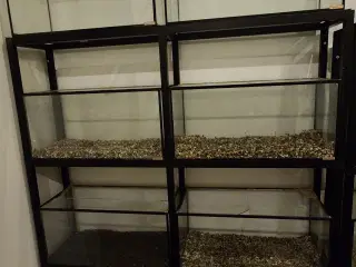 Akvarie reol