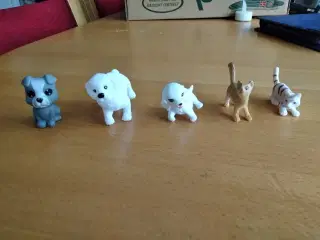 4 hunde og 4 katte