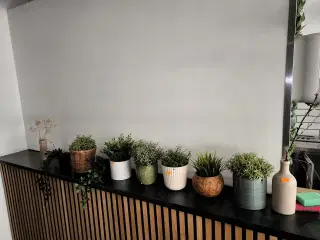 Div. Kunstige planter og nips