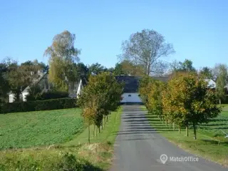 900 m2 koldhal til leje i Humlebæk