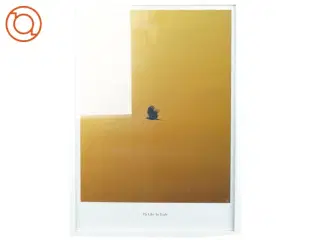 Plakat med ramme (str. 43 x 31 cm)