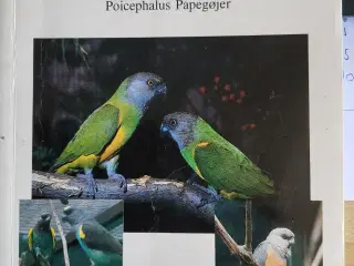 Fuglebøger