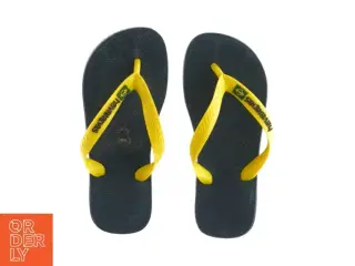 Klipklapper fra Havaiansa (Str. 31-32)