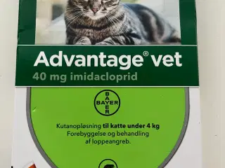 Katte legetøj 