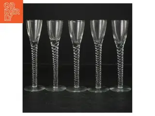 Snapseglas, 5 styk (str. 16,5 cm. 5 styk)