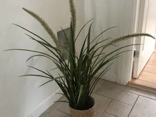 Plante kunstig 